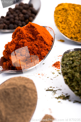 Image of various ground spices