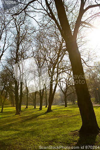 Image of Spring in the park