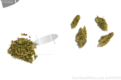Image of marijuana on white