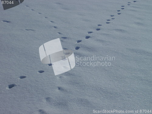 Image of steps on the snow