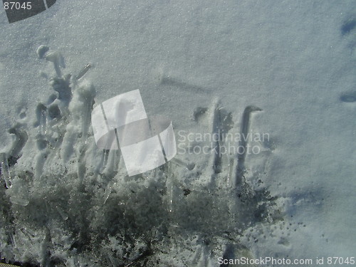 Image of icicles on the ground