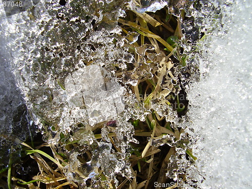 Image of spring is coming 2