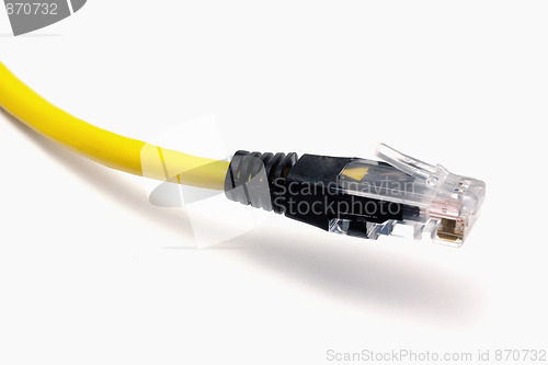 Image of Computer Network Cable 