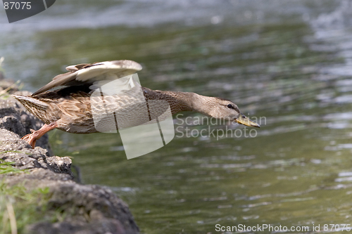 Image of Take off