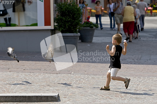 Image of Boy hunting pigeon
