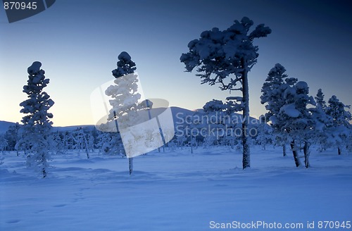 Image of Cold winter day