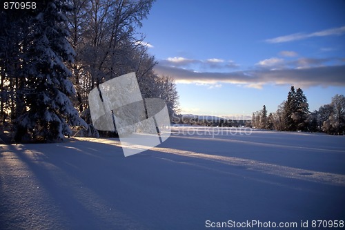 Image of Winter Landscape