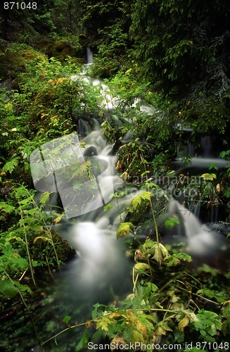 Image of Mountain stream