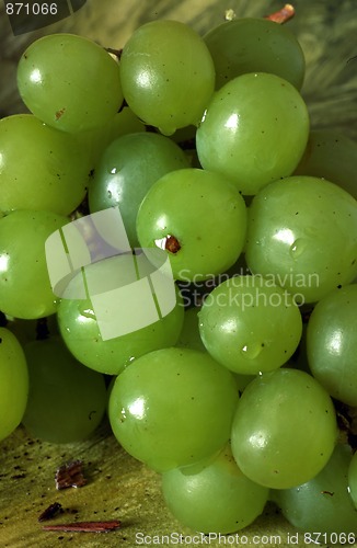 Image of Bunch of green grapes laying