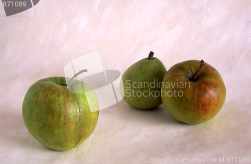 Image of Apples and pear on painted background