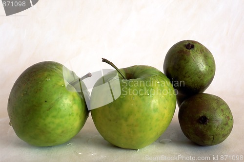 Image of Green apples and pears on painted background