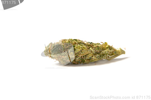 Image of medical marijuana bud