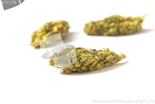 Image of medical marijuana buds