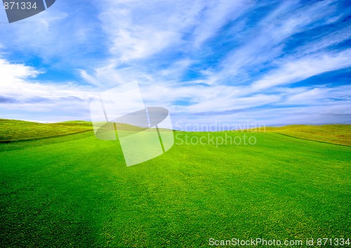 Image of Golf course  on summer