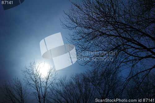 Image of Cloudy Winter Sky