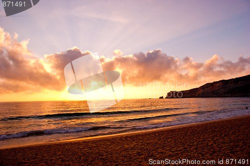 Image of Beach Landscape