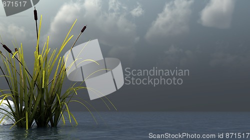 Image of silence before storm