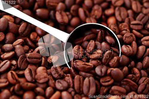 Image of spoon of coffee beans