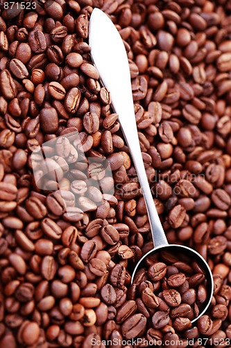 Image of spoon of coffee beans
