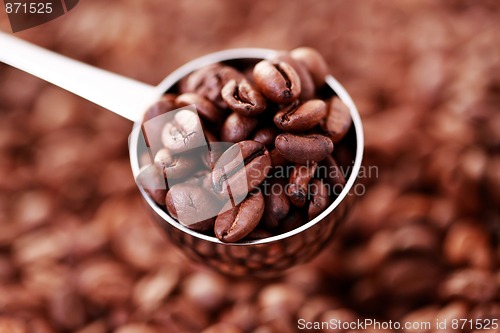 Image of spoon of coffee beans
