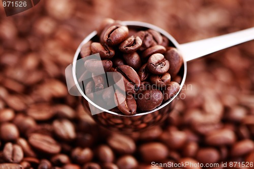 Image of spoon of coffee beans