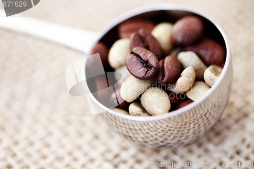 Image of spoon of coffee beans