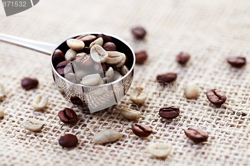 Image of spoon of coffee beans