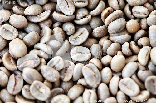 Image of unroasted coffee beans 