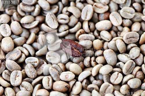 Image of different