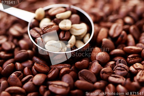 Image of spoon of coffee beans