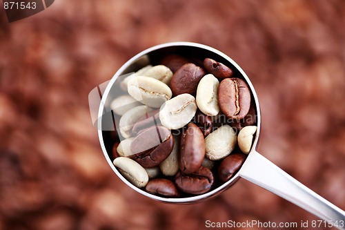 Image of spoon of coffee beans