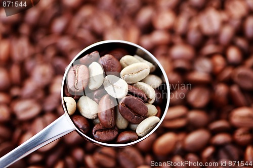 Image of spoon of coffee beans