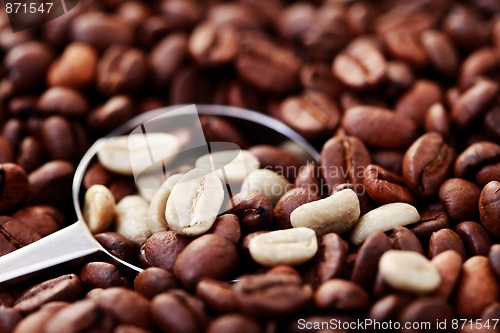 Image of spoon of coffee beans