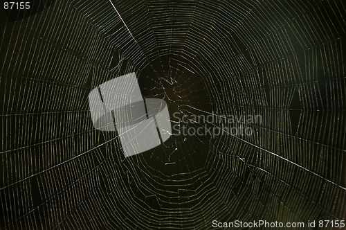 Image of Spider web in the dark. Macro