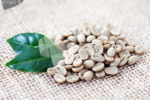Image of unroasted coffee beans