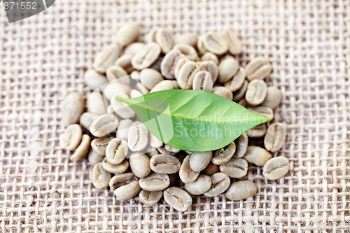 Image of unroasted coffee beans