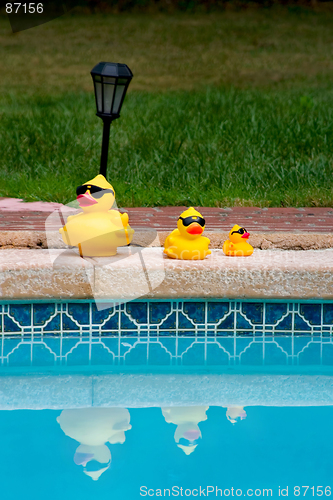 Image of Yellow rubber ducks family in sunglasses reflected in the pool