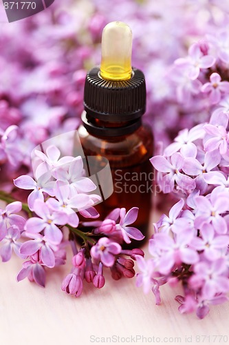 Image of lilac aromatherapy
