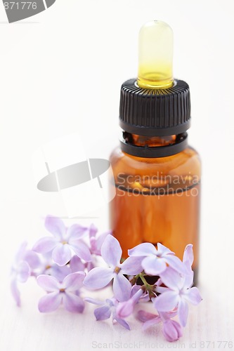 Image of lilac aromatherapy