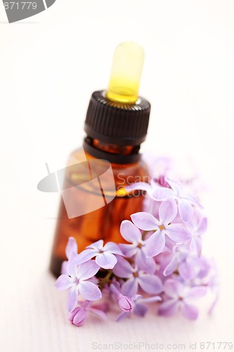 Image of lilac aromatherapy