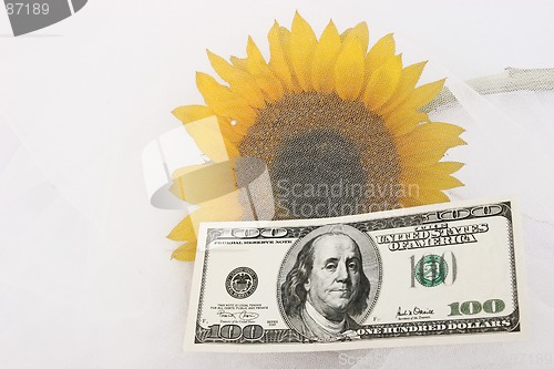 Image of $100 bill and a yellow sunflower