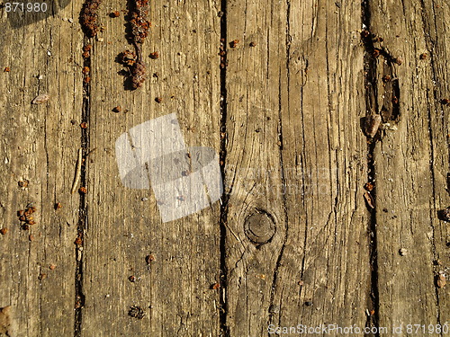 Image of old wood background