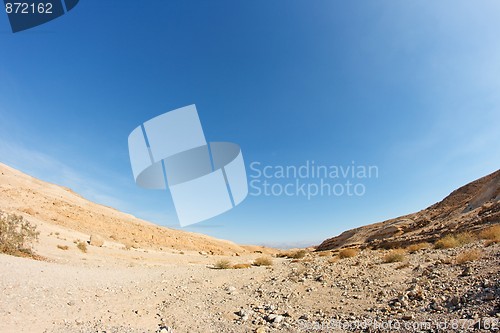 Image of Desert landscape fisheye view