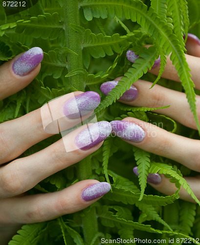 Image of nails