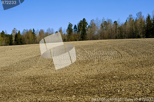 Image of Field