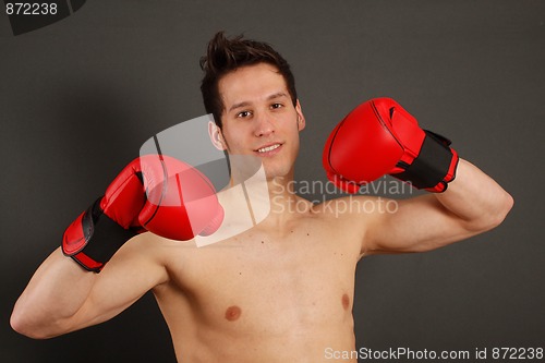 Image of Young handsome boxer boy.