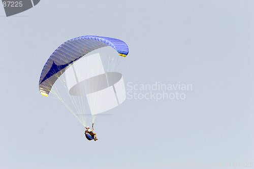 Image of Paraglider