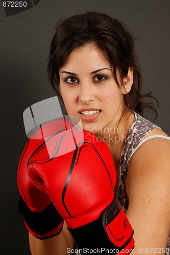 Image of Young handsome boxer girl.