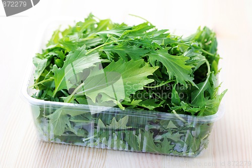 Image of mizuna leaves