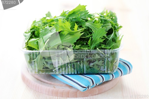 Image of mizuna leaves